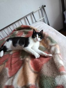 TOTI_01.06.2024