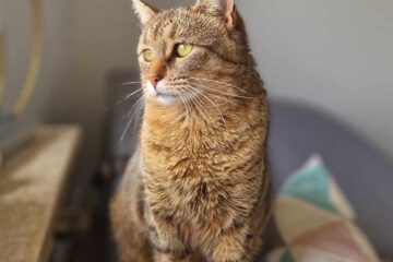 MARINA_08_2023
