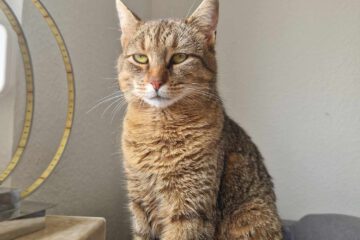 MARINA_08_2023