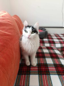 INESA 23.09.2024
