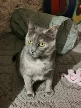 MHINA_01.10.2023