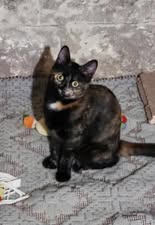 MHILA_01.10.2024