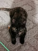 MHILA_01.10.2024