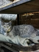 MHINA_01.10.2023