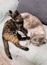 MIHNA&MIHLA_2023_2024