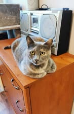 MHINA_01.10.202324