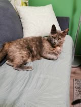 MHINA_01.10.2023
