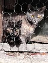 MIHNA&MIHLA_2023_2024