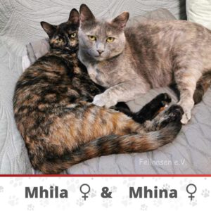 MIHNA&MIHLA_2023_2024