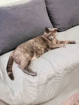 MHINA_01.10.2023