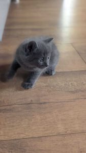 SAMMY_15.05.2025