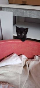 SOOBIE_15.05.2025