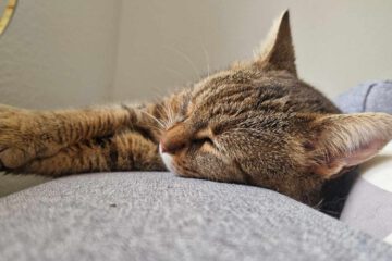 MARINA_08_2023