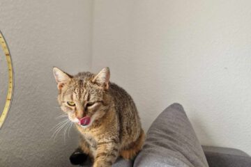 MARINA_08_2023