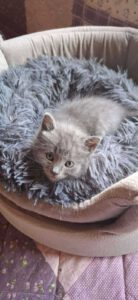SAMMY_15.05.2025