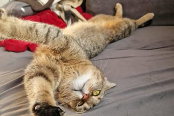 MARINA_08_2023