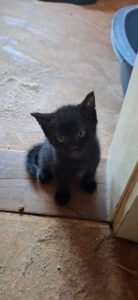 SOOBIE_15.05.2025