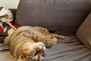 MARINA_08_2023