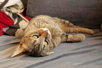 MARINA_08_2023