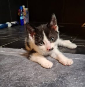 PABLO_27.04.2025