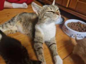 Carlotta_2023