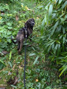 Chacha_Mai2024_18