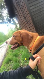 Floki_April19_19