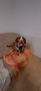 Floki_April19_2