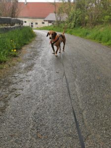 Floki_April19_24