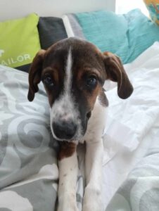 Garcio_Sep24_12