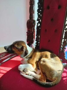 Garcio_Sep24_15