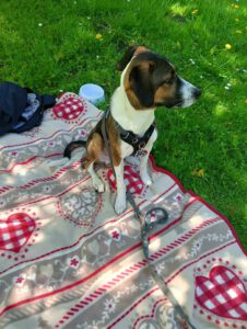 Garcio_Sep24_16