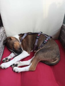 Garcio_Sep24_17