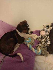 Garcio_Sep24_19