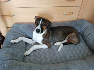 Garcio_Sep24_23
