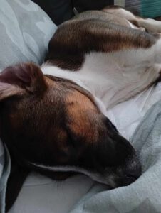 Garcio_Sep24_24