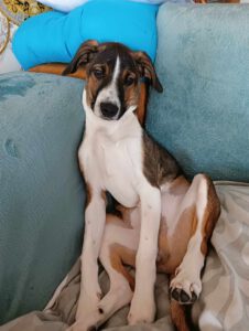 Garcio_Sep24_25