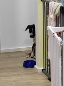 Garcio_Sep24_42