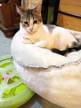 LENA_10.06.2023