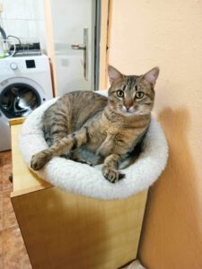KLARA_12.05.2022