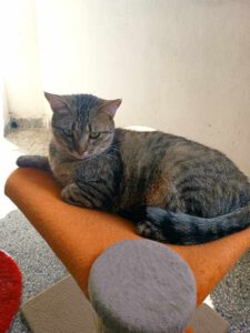 KLARA_12.05.2022
