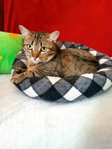KLARA_12.05.2022