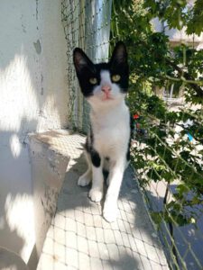 STIVAN_13.03.2024