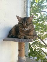 KLARA_12.05.2022