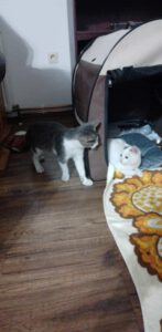 SELMA&LUKAS_15.04.2024