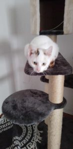 SELMA&LUKAS_15.04.2024