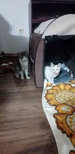 SELMA&LUKAS_15.04.2024