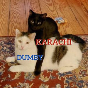 DUMBY & KARACHI_2021