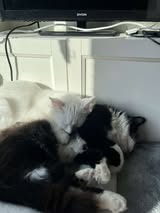 SELMA&LUKAS_15.04.2024