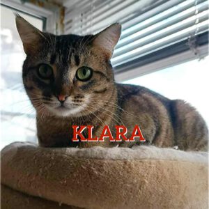 KLARA_12.05.2022